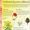 Mica enciclopedie despre viata din gradina - 3