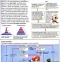Dictionar ilustrat de biologie - 2