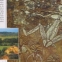 Atlas de arheologie - 3