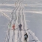 Ghid complet Finlanda - 4
