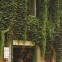 Ghid complet Italia - 3