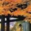 Ghid complet Japonia - 3