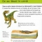 Enciclopedia celor mici - 3