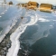 Ghid complet Olanda - 2