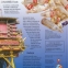 Enciclopedie de geografie a lumii - 2