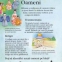 Mic atlas geografic ilustrat - 4