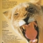 Mica enciclopedie despre animale - Hu - 4