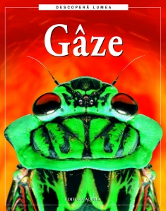 Gaze - 1