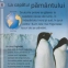 Tinuturi polare - 2