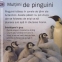 Tinuturi polare - 4