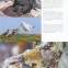 1000 de pui de animale - 3