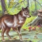 Animale salbatice - pliant - 2