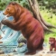 Animale salbatice - pliant - 3