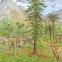 Enciclopedia ilustrata a dinozaurilor - 2
