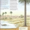 Enciclopedia ilustrata a dinozaurilor - 3