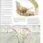 Enciclopedia ilustrata a dinozaurilor - 4