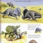 1000 de dinozauri - 2