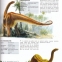1000 de dinozauri - 4