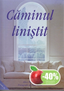 Caminul linistit - 1