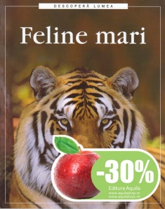 Feline mari - 1