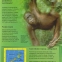 Atlas geografic al lumii - Anticariat - 3