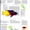 Enciclopedia ilustrata a lumii subacvatice- Pestii si creaturile marine - 3