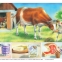 Plansa Calul/Vaca - 2
