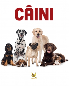 Câini - 1