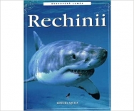 Rechinii - 1