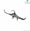 SAFARI: PISICA DE MARE - 2