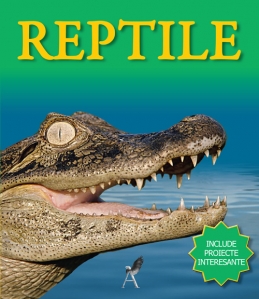 Reptile - 1