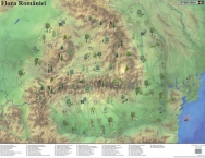 Mapa de birou Flora/Fauna - 1
